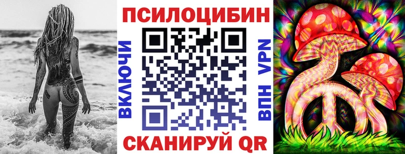 Купить  Ленинск  Галлюциногенные грибы Psilocybe 